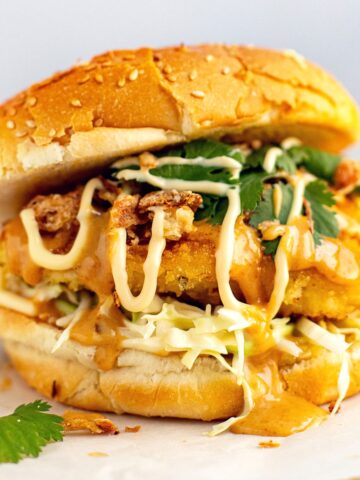 Katsu Burger Recipe With Chicken Feature